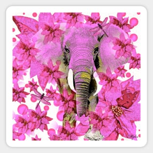 Elephant Sticker